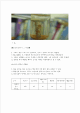 구리가 가장 빨리 녹는 액체와 녹슬음을 방지하는 방법_hwp_03_.gif