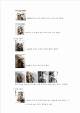 어느물에서 식물이 더 잘 자랄까_hwp_02_.gif